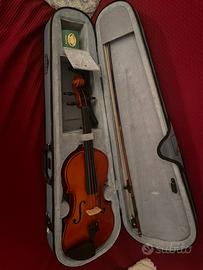 Violino