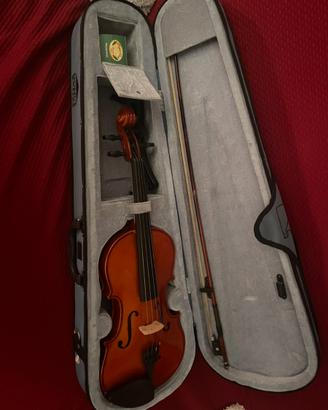 Violino