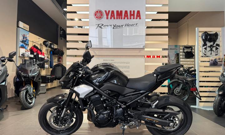 Kawasaki Z900 - 2025