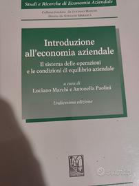 introduzione all' economia aziendale 
