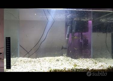 acquario 50 litri completo