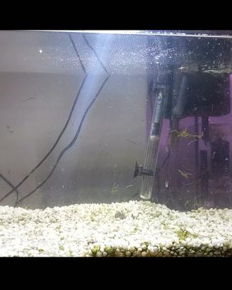 acquario 50 litri completo