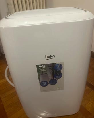 Pinguino climatizatore portatile