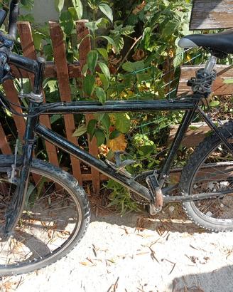 bicicletta Mountain bike 
