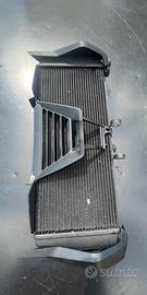 Radiatore  BMW R 1200 R