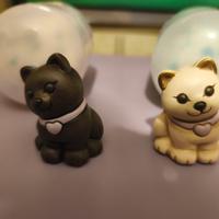 coppia gattini bauli