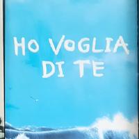 Libro "Ho voglliaa di te"- Federico Moccia