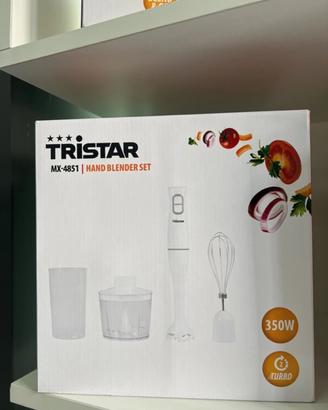 Mixer a immersione
