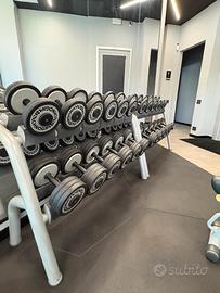 2 RASTRELLIERE +MANUBRI TECHNOGYM