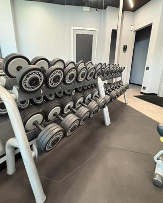2 RASTRELLIERE +MANUBRI TECHNOGYM