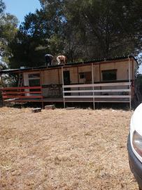 Annessi condonati 500 mt dal mare