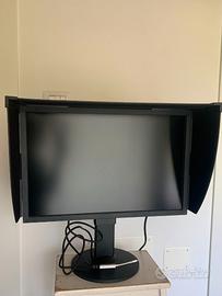 Eizo CG243W con 1657 ore