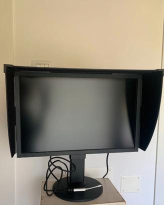 Eizo CG243W con 1657 ore