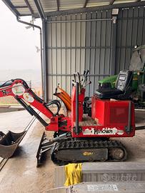 miniescavatore 10 qli 