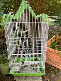 Gabbia x uccelli