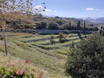 Terreno agricolo terrazzato