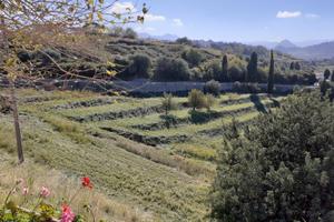 Terreno agricolo terrazzato