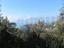 Immagine 11