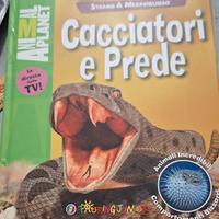 Cacciatori e prede