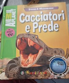 Cacciatori e prede