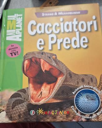 Cacciatori e prede