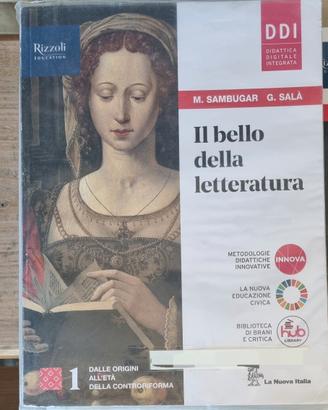Il bello della letteratura  1 