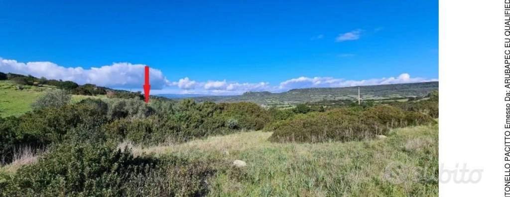 Immobile in asta di 22100 m² a Fordongianus - Vista 2