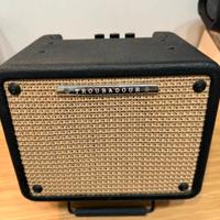 Amplificatore per chitarra acustica