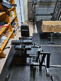Leg Extension / Leg Curl MAXXUS professionale