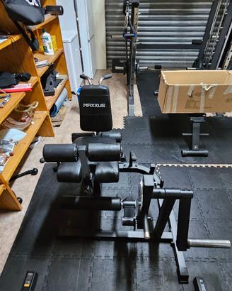 Leg Extension / Leg Curl MAXXUS professionale