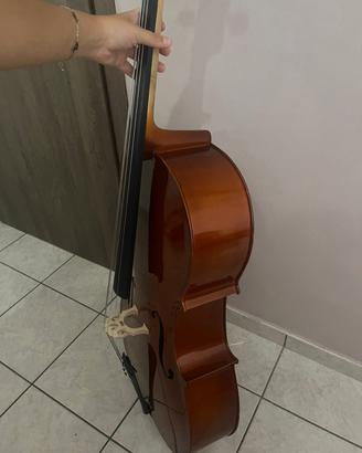 violoncello 4/4