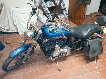 harley davidson sporster 1200 custom
