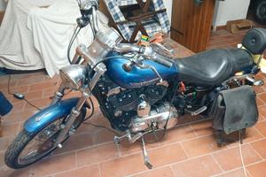 harley davidson sporster 1200 custom
