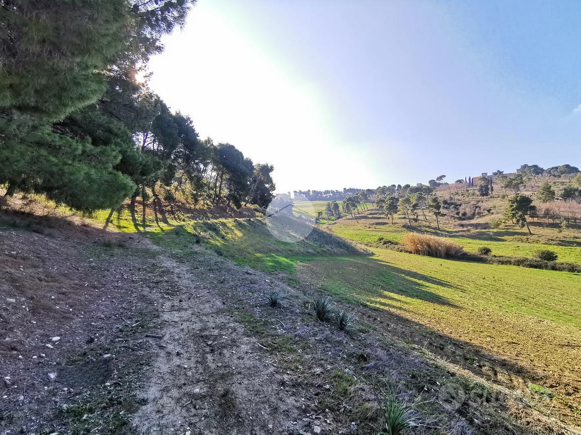 TER. AGRICOLO A LUCERA - Vista 5