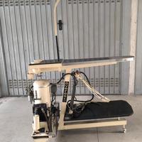 Smacchiatore per indumenti professionale