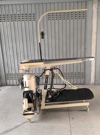 Smacchiatore per indumenti professionale