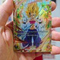Caulifla FB02-007