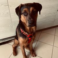 Zeus