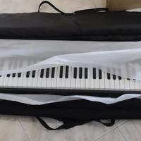 Pianoforte casio cdp 100 con custodia e asta