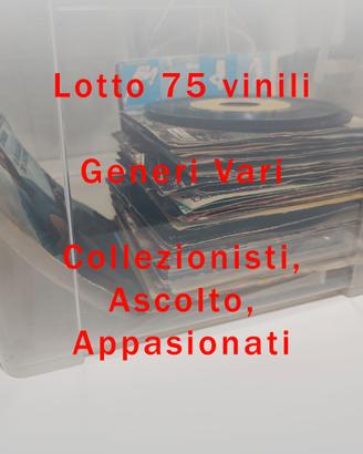 Lotto 75 vinili - collezione LP originali