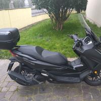 Stupendo Honda Forza 125 come nuovo