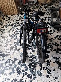 Bicicletta pieghevole