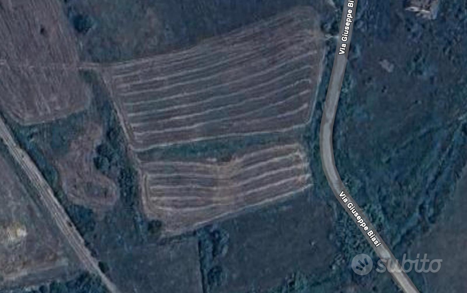 PRIVATO- Terreno agricolo Girasole - Vista 2