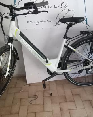bicicletta elettrica 