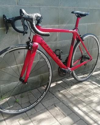 COLNAGO V2 R