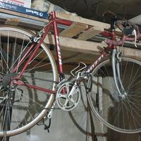 bici da corsa 24