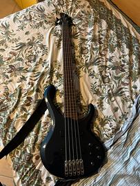 Basso elettrico 5 corde