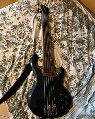 Basso elettrico 5 corde