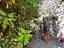 Immagine 29