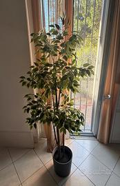 Pianta finta con vaso 170cm
